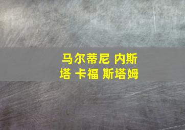 马尔蒂尼 内斯塔 卡福 斯塔姆